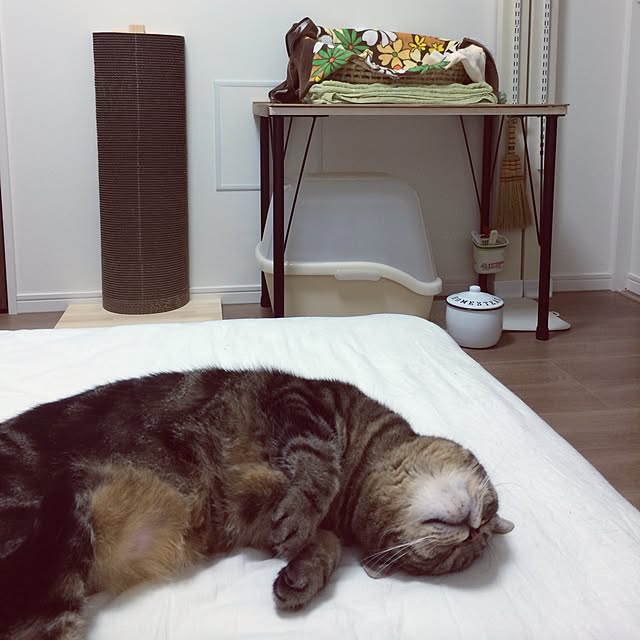 mikomaruさんの実例写真