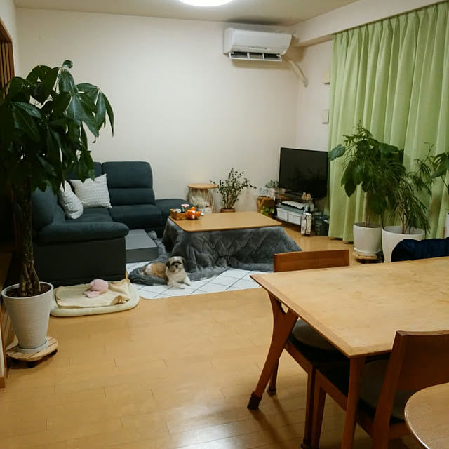 akipopoさんの実例写真