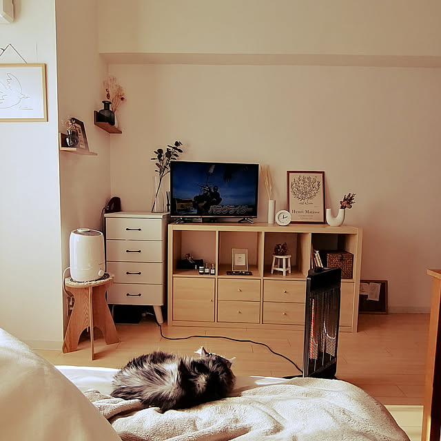 棚/IKEA/一人暮らし/3COINS/北欧...などのインテリア実例 - 2022-01-30 19:57:06