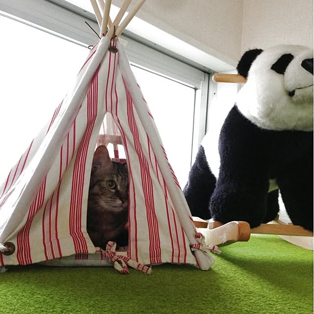 infobar12さんの実例写真