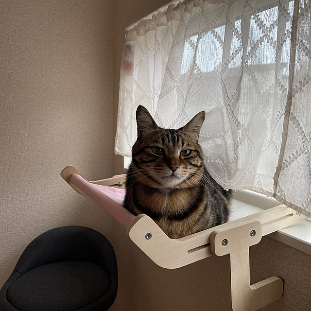 ruruさんの実例写真