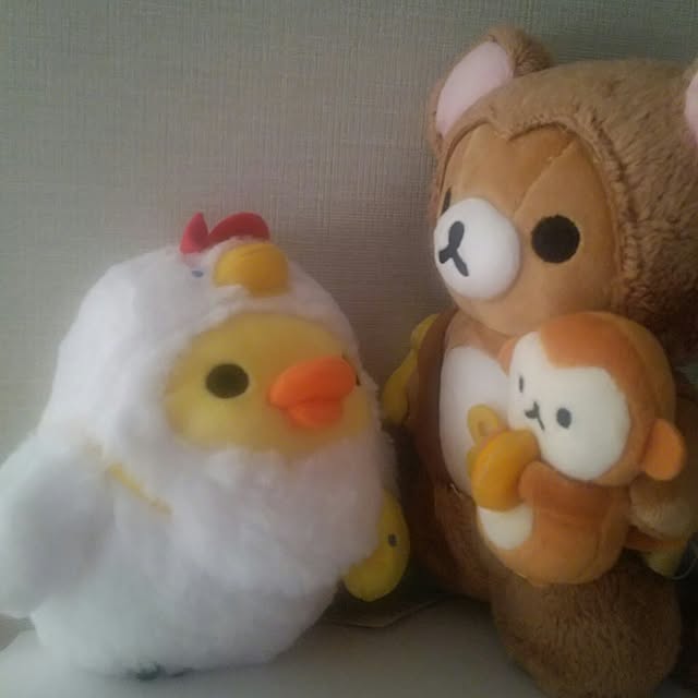 korilakkumausagiさんの実例写真