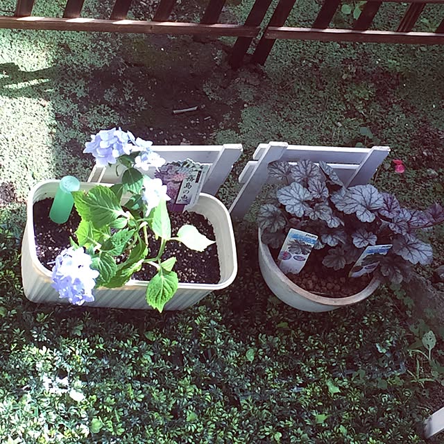 Harumiさんの実例写真