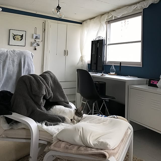 Shihoさんの実例写真