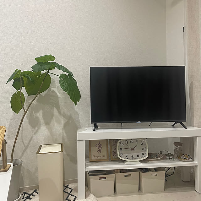 Mikaさんの実例写真