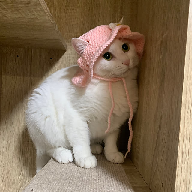 keiさんの部屋