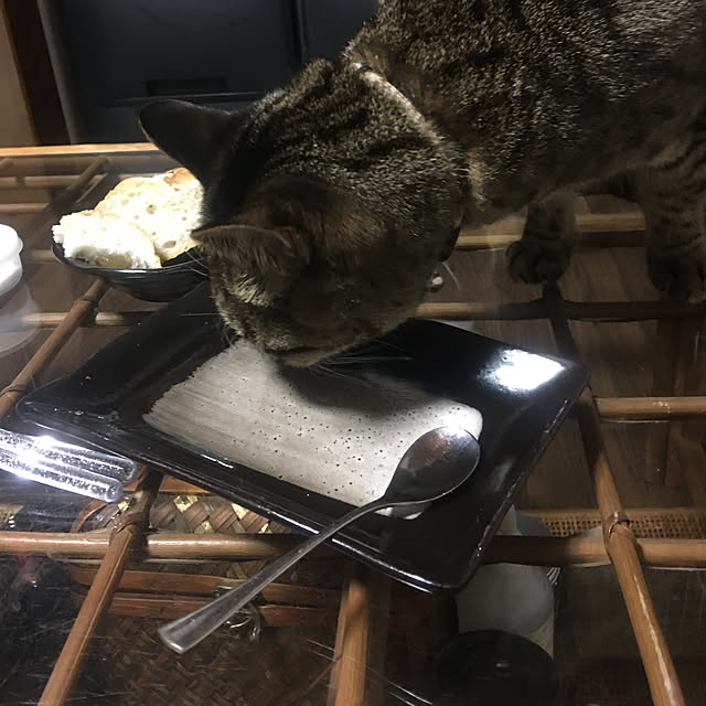 KINGさんの実例写真