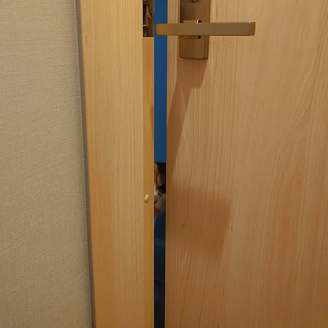 Coney_Island_NYさんの実例写真