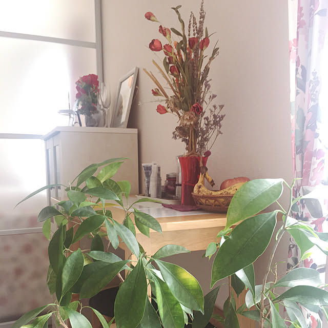 雑貨/観葉植物/カフェ風/部屋全体のインテリア実例 - 2020-10-02 15:15:26