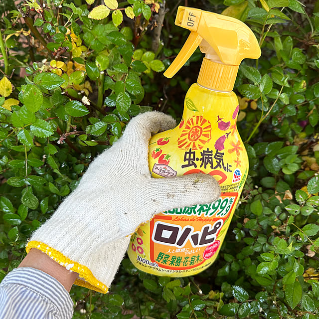 mizucchiさんの部屋