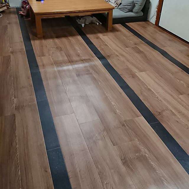 konyさんの実例写真