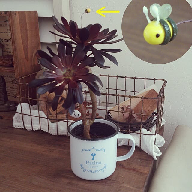 cedarrosemamさんの実例写真