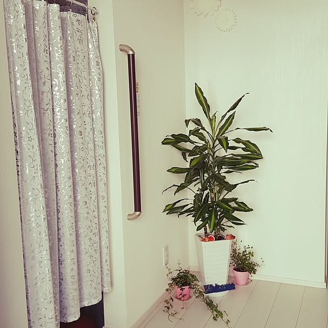 rirekaさんの実例写真