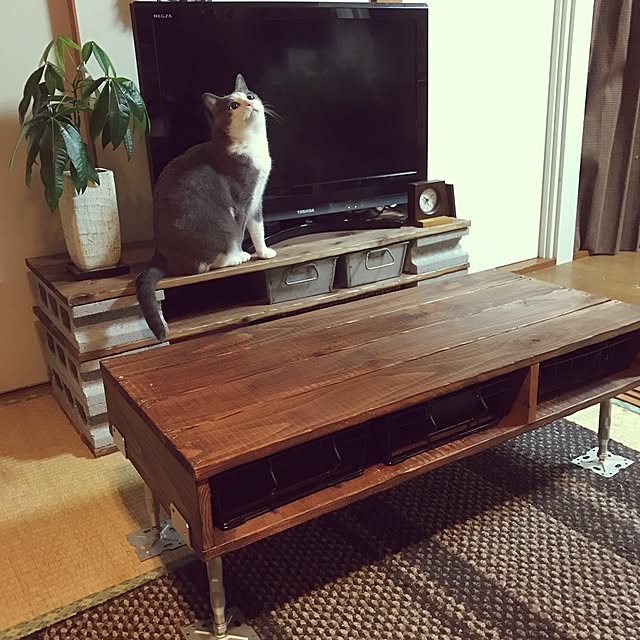 mucc08さんの実例写真
