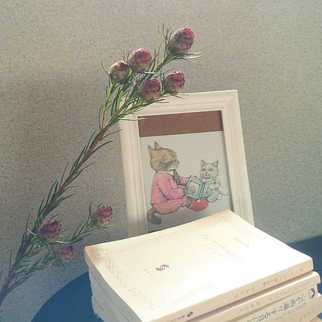 todaysさんの実例写真