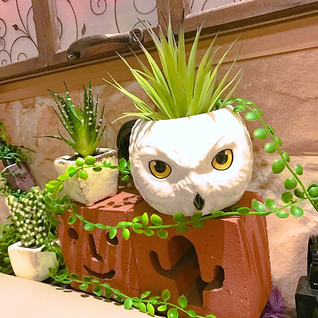 xigyanさんの実例写真