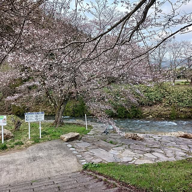 doesさんの部屋