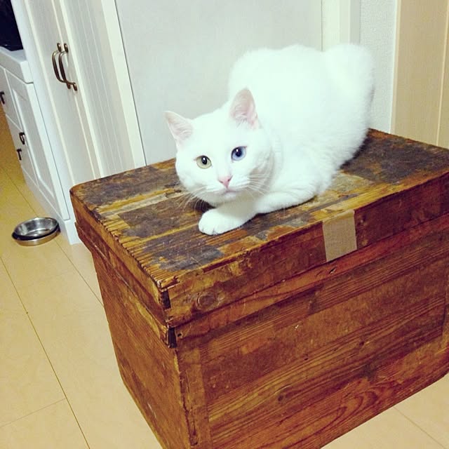 kaoさんの実例写真