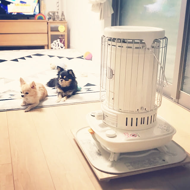 can_.さんの実例写真