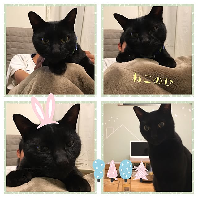 Kaoさんの実例写真