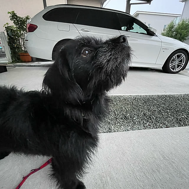 marinkoさんの実例写真