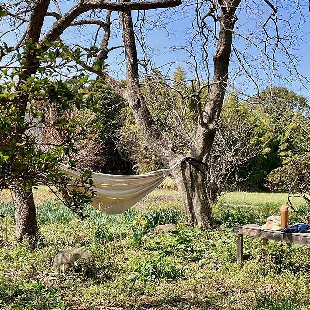 Takenoyaさんの部屋