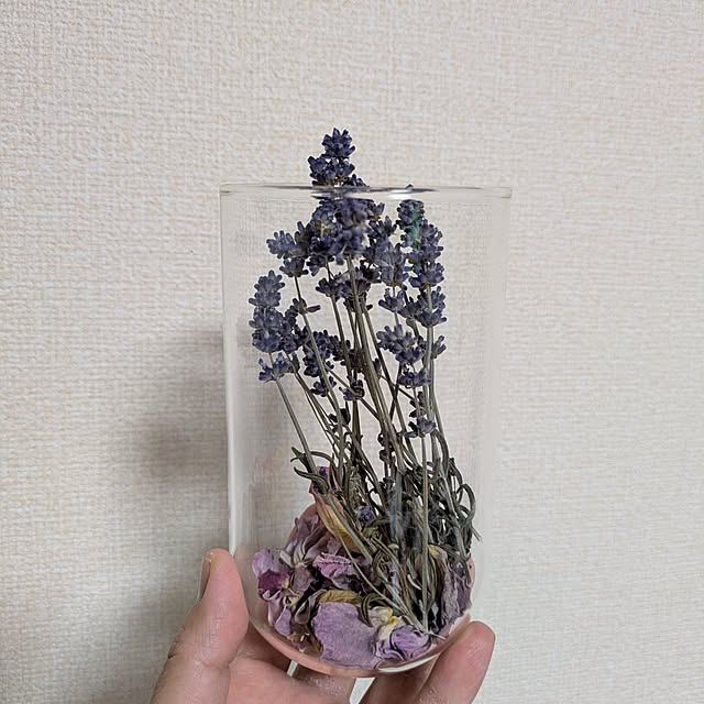 lonlonさんの実例写真