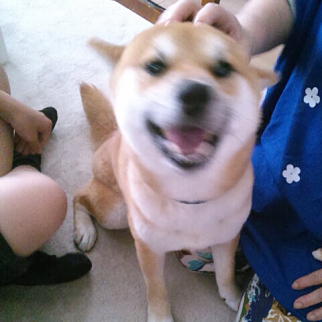 kotaさんの実例写真