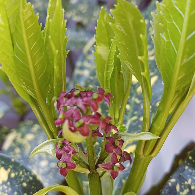 hiro.904さんの部屋