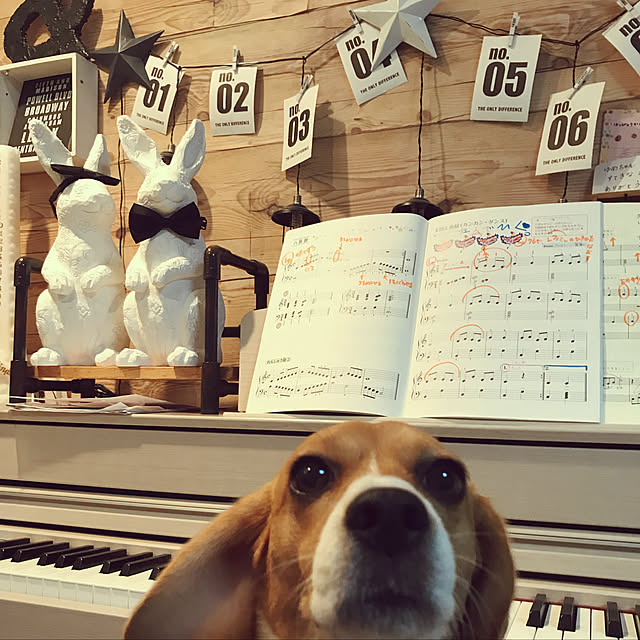 lovekuma_emilyさんの実例写真