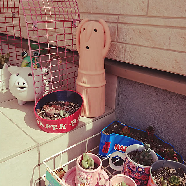 xxxakyxxxさんの実例写真