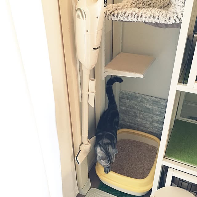 mikomaruさんの実例写真