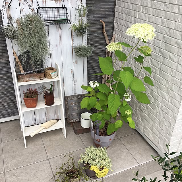 nomnom888さんの実例写真