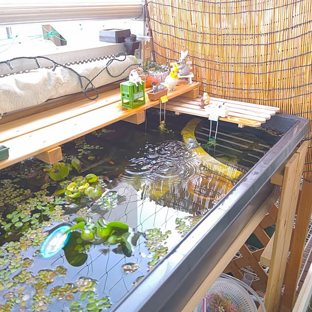 mariaさんの部屋