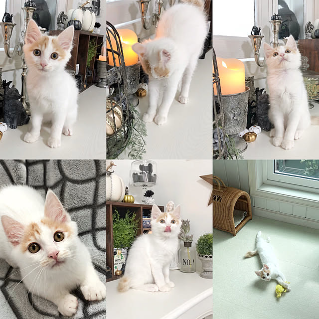 yuchiさんの実例写真