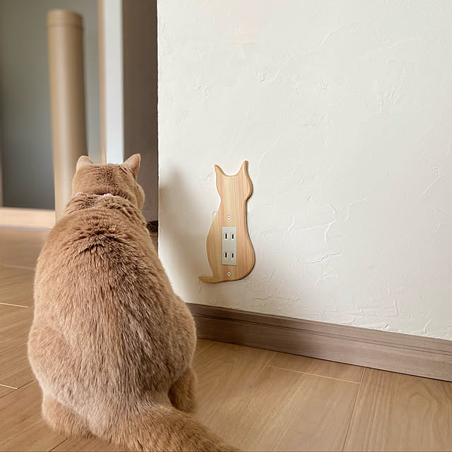 tomoさんの実例写真