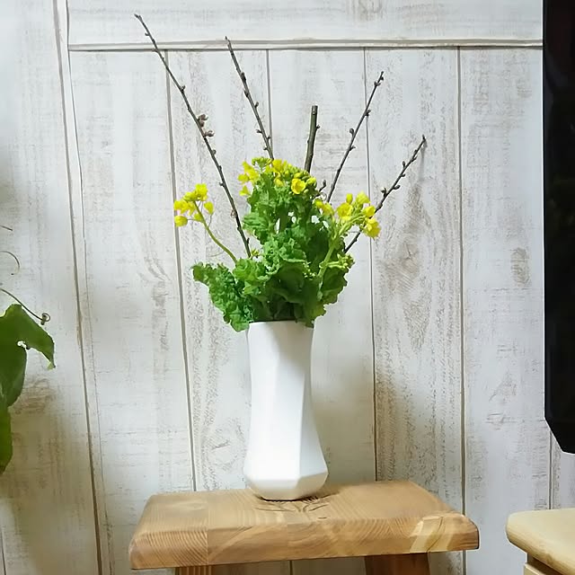 naopyiさんの実例写真