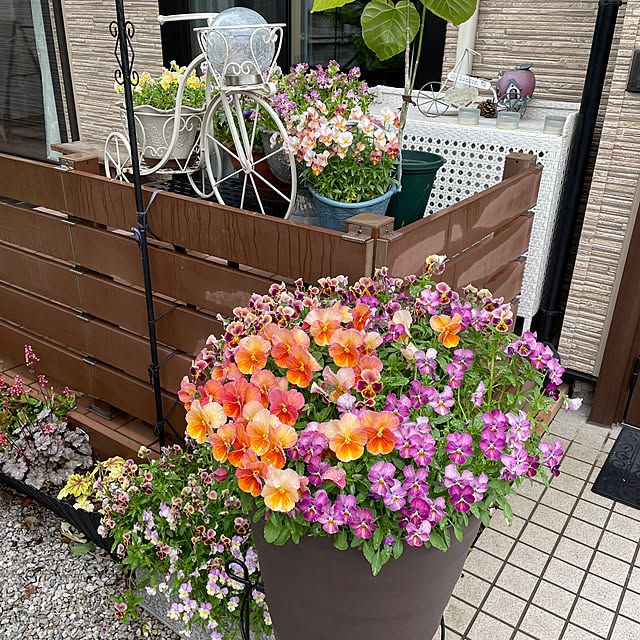ronronさんの部屋