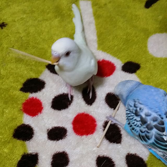karinさんの実例写真