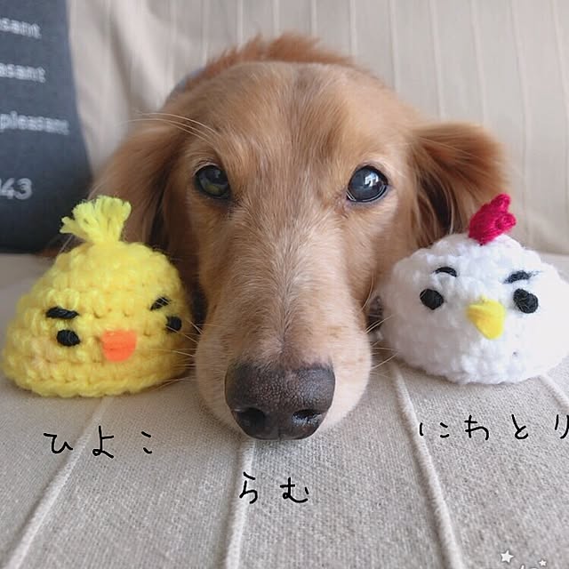 ram_mamaさんの実例写真