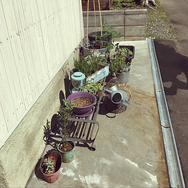 uoさんの実例写真