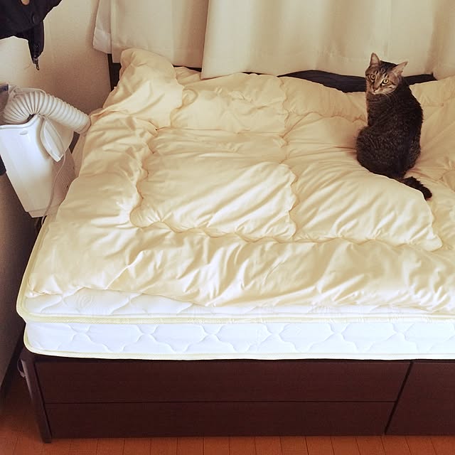 Esunoさんの実例写真