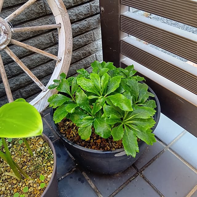 tomomiさんの部屋