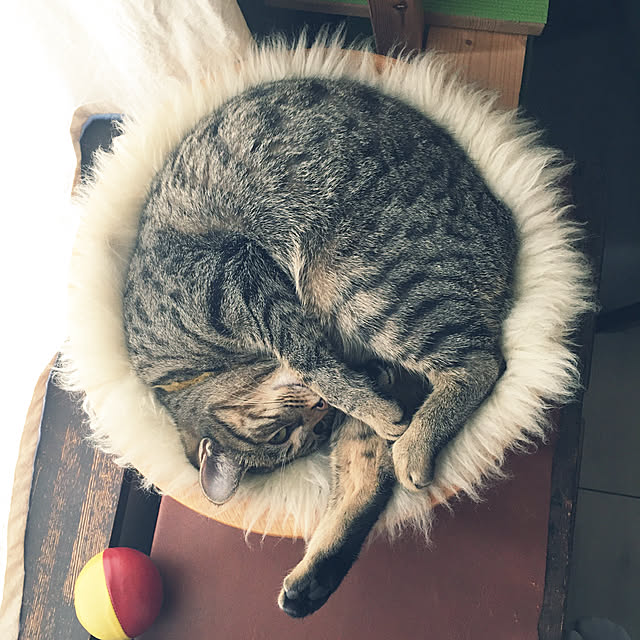 Mさんの実例写真