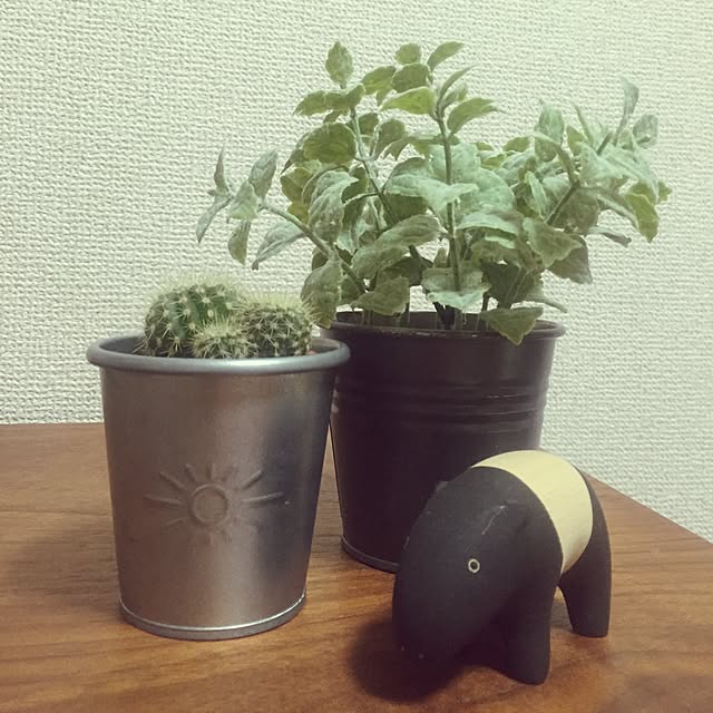 azumiさんの実例写真