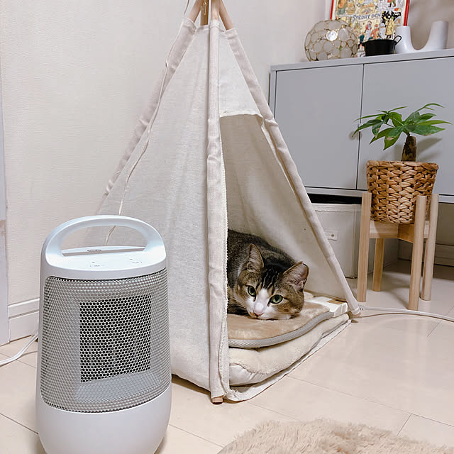 nekomiさんの実例写真