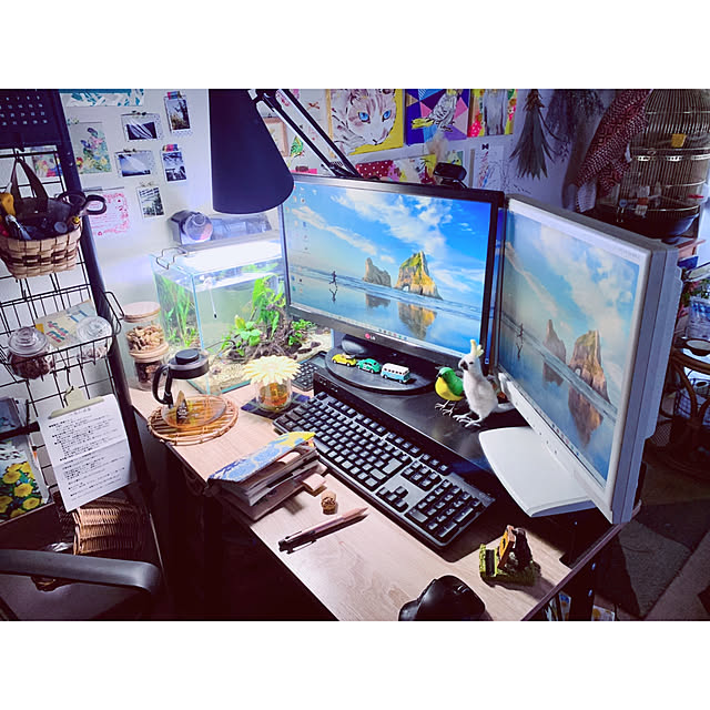 parrotさんの実例写真