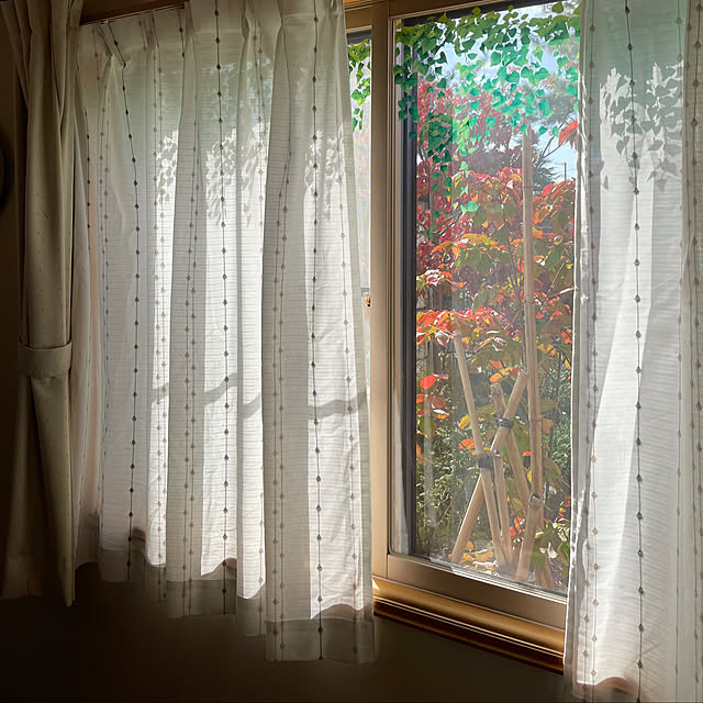 kakoさんの実例写真