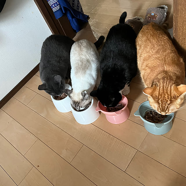 nekoさんの実例写真
