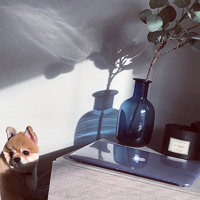 kaorikunさんの実例写真